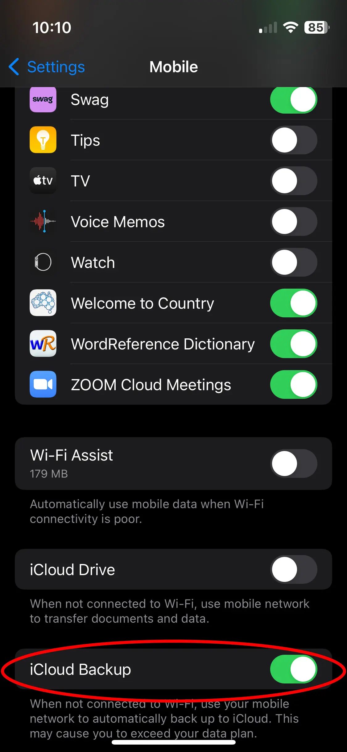 icloud backup
